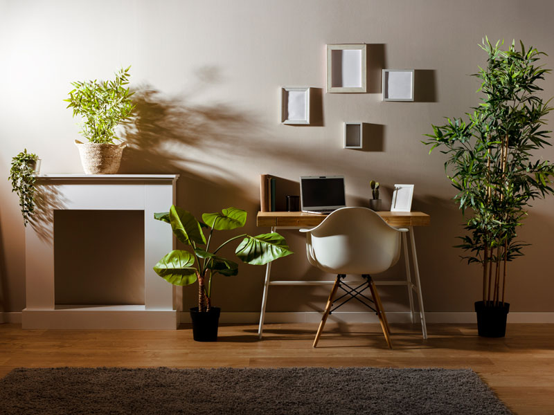 Become more money-minded